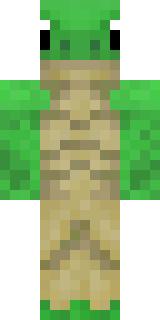 Скин Майнкрафт Игрока TurtleEzwin