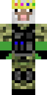 Скин Майнкрафт Игрока Turtle_2907