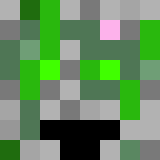 ViMiR