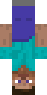 Скин Майнкрафт Игрока Void311