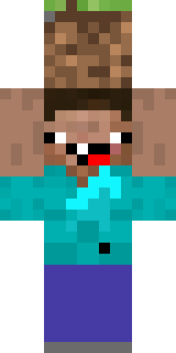 Скин Майнкрафт Игрока _cookies69