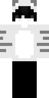 Скин Майнкрафт Игрока allons