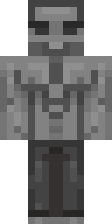 Скин Майнкрафт Игрока amogoose