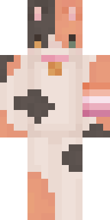 Скин Майнкрафт Игрока ashyily