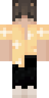 Скин Майнкрафт Игрока bash_it_in