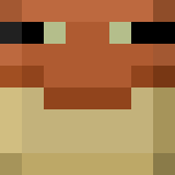 bearhunterT1