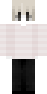 Скин Майнкрафт Игрока berktr123