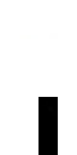 Скин Майнкрафт Игрока bigfrogninjacho