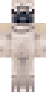 Скин Майнкрафт Игрока bnPibble