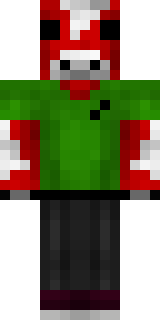Скин Майнкрафт Игрока bugfroggy