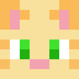 Игрок catcreeper3 Майнкрафт - возможно знакомый с shoe