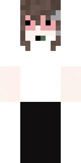 Скин Майнкрафт Игрока chice