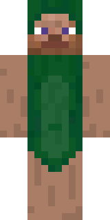 Скин Майнкрафт Игрока ciqo