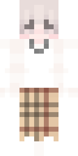 Скин Майнкрафт Игрока companheiro