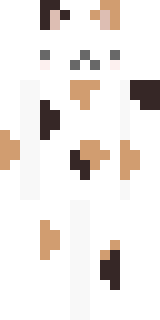 Скин Майнкрафт Игрока couch_pot4t0