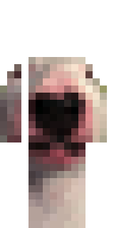 Скин Майнкрафт Игрока coumfy