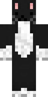 Скин Майнкрафт Игрока daszni