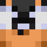 Игрок defender07 Майнкрафт - возможно знакомый с dirain4ik