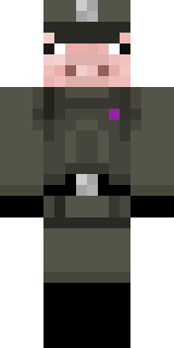 Скин Майнкрафт Игрока direlite