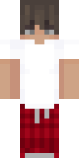 Скин Майнкрафт Игрока dogpixel