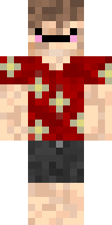 Скин Майнкрафт Игрока evify