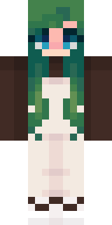 Скин Майнкрафт Игрока evolox