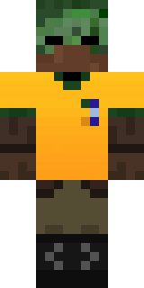 Скин Майнкрафт Игрока feedparrot8
