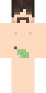 Скин Майнкрафт Игрока karlsefni