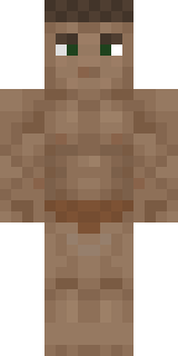 Скин Майнкрафт Игрока librawp