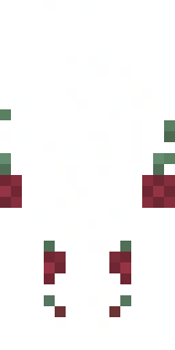 Скин Майнкрафт Игрока lllzsulll