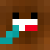 Игрок metaaniemc Майнкрафт - возможно знакомый с BroPH__