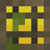 Игрок niftygull_ Майнкрафт - возможно знакомый с Akvme_Aishi