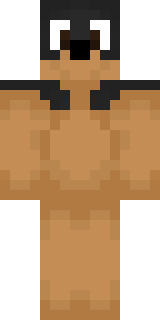Скин Майнкрафт Игрока nikzter_