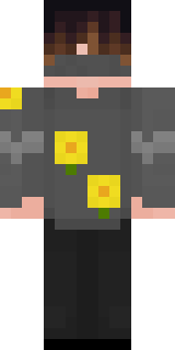 Скин Майнкрафт Игрока ooVers