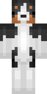 Скин Майнкрафт Игрока pengker