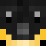 Игрок penguin_gamer Майнкрафт - возможно знакомый с Torch_ggg