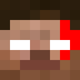 pipdaster