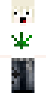 Скин Майнкрафт Игрока piporpo