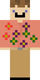Скин Майнкрафт Игрока printer6