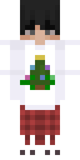 Скин Майнкрафт Игрока prololgamer27