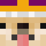 Игрок puppykingreturn Майнкрафт - возможно знакомый с qYoshify