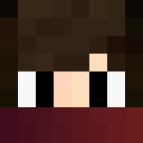Игрок pvp_arena Майнкрафт - возможно знакомый с Elytra_pop