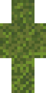 Скин Майнкрафт Игрока rkcm