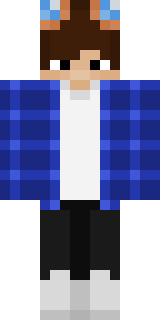 Скин Майнкрафт Игрока ronakyyy