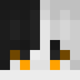 Игрок sakytok Майнкрафт - возможно знакомый с lnpl