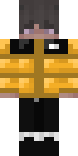 Скин Майнкрафт Игрока the_n0rth_face