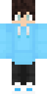 Скин Майнкрафт Игрока validgamer33