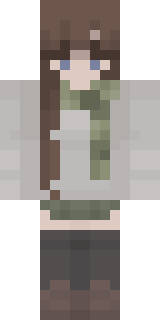 Скин Майнкрафт Игрока vinziegeeier
