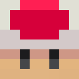 Игрок vont Майнкрафт - возможно знакомый с zyvorx